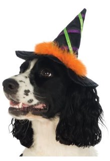 Rubies Costumes Witch Pet Hat w/ Trim: Pet Costume