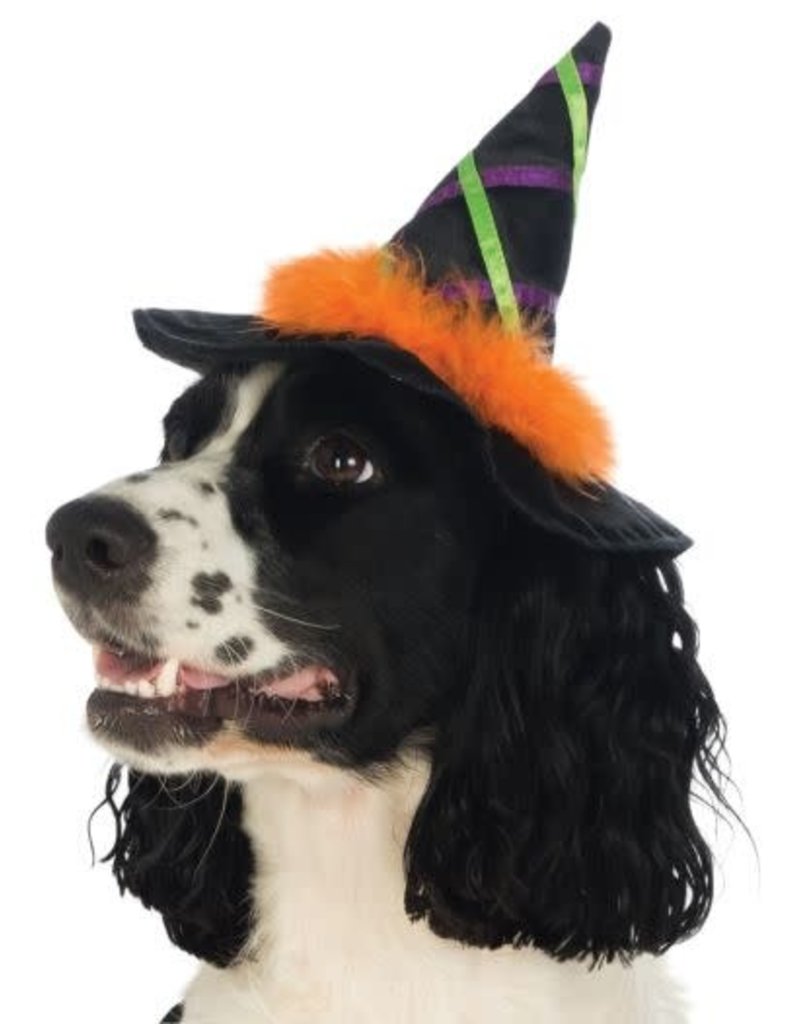Rubies Costumes Witch Pet Hat w/ Trim: Pet Costume