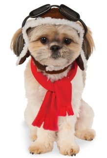 Rubies Costumes Aviator Hat/Scarf Set: Pet Costume