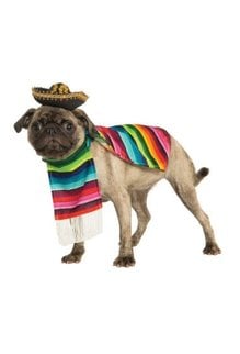 Rubies Costumes Mexican Serape: Pet Costume