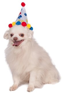 Rubies Costumes Paw Print Birthday Hat (Primary Colors)