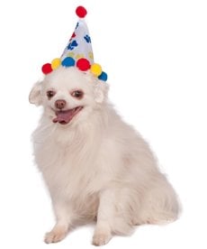 Rubies Costumes Paw Print Birthday Pet Hat (Primary Colors)