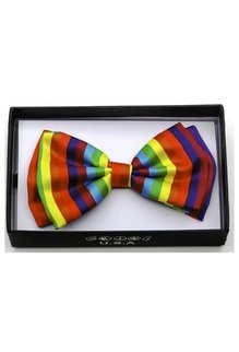 Bowtie: Rainbow