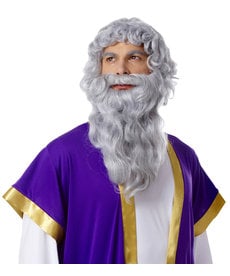 Deluxe Grey Biblical Wig & Beard