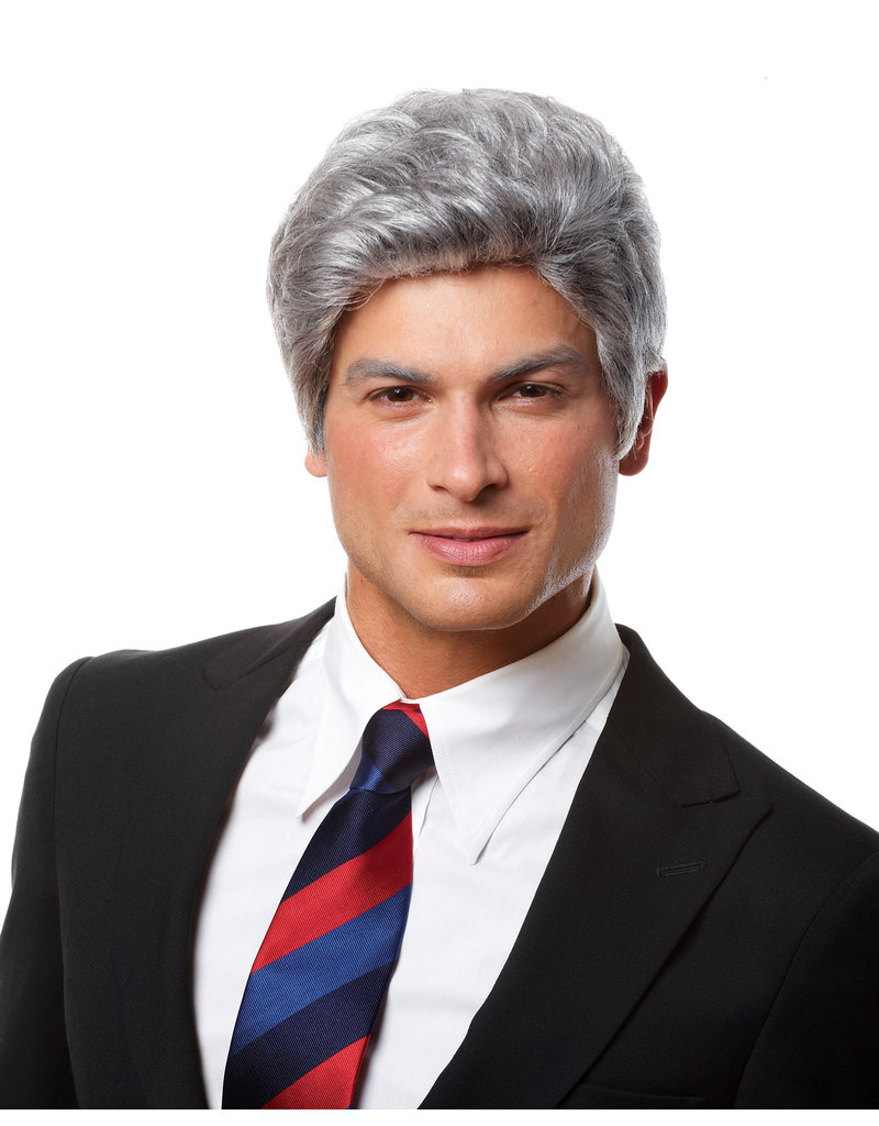 Deluxe Mr. President Wig: Grey