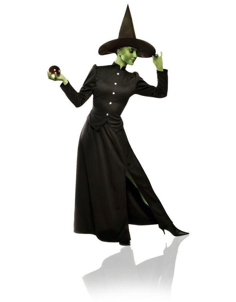 Women's Classic Witch Costume