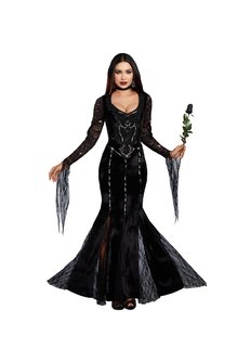 Dream Girl Women's Frightfully Beautiful Costume