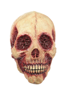 Bloody Skull Latex Mask