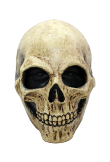 Bone Skull Mask