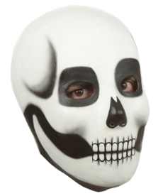 Makeup Skull Mask