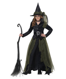 California Costumes Kids Cool Witch Costume