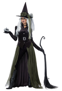 California Costumes Women's Gothic Witch Costume