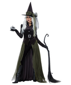 California Costumes Women's Gothic Witch Costume