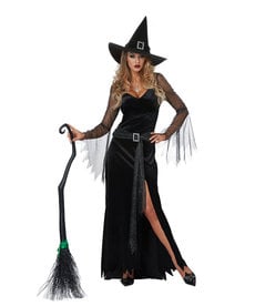 California Costumes Women's Rich Witch Costume