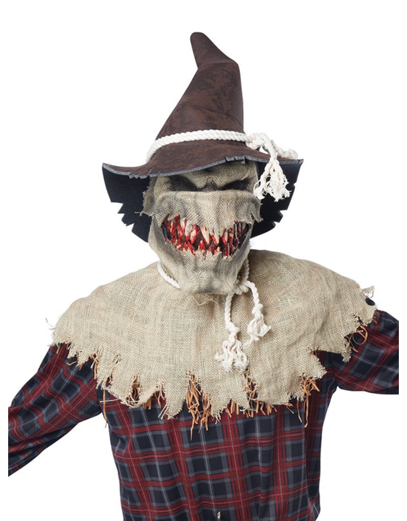 California Costumes Men's Sadistic Scarecrow Costume