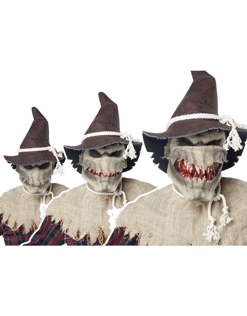 California Costumes Men's Sadistic Scarecrow Costume