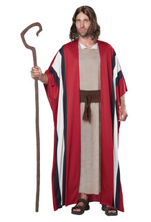 California Costumes Men's Adult Shepherd / Moses Costume
