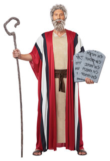 California Costumes Men's Adult Shepherd / Moses Costume