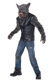 California Costumes Kids Full Moon Fury Costume