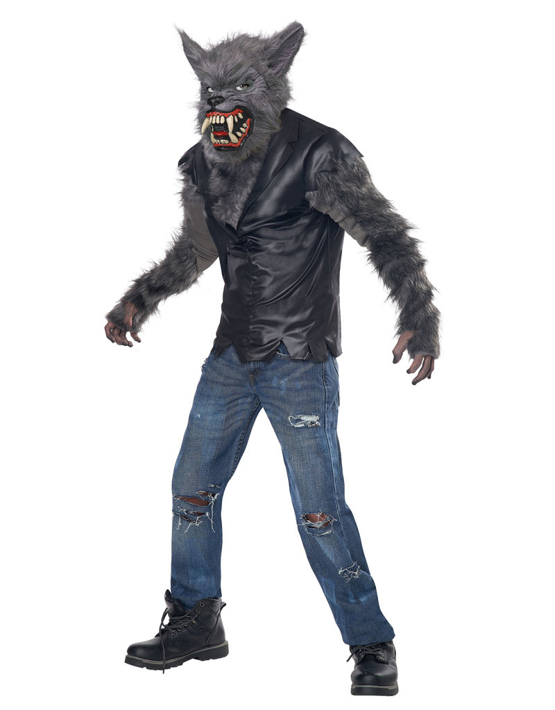 California Costumes Kids Full Moon Fury Costume