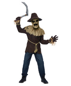 California Costumes Kids Wicked Scarecrow Costume