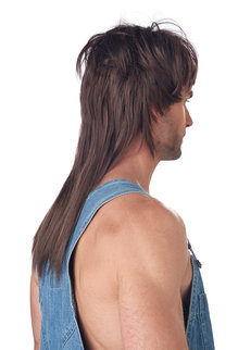 California Costumes Hillbilly Heartthrob Wig