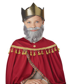 California Costumes Wise Man Beard & Moustache: Child Size - Gray