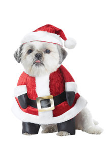 California Costumes Santa Paws: Pet Costume