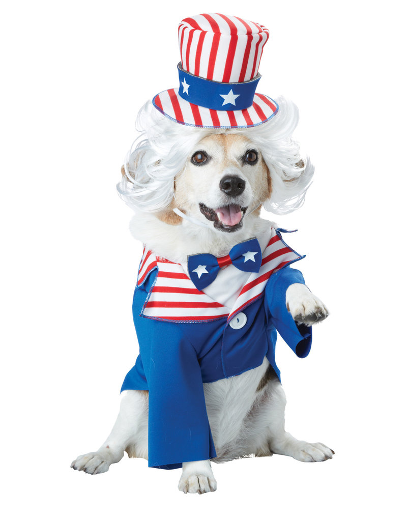 California Costumes Uncle Sam: Pet Costume