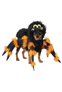 California Costumes Spider Pup: Pet Costume