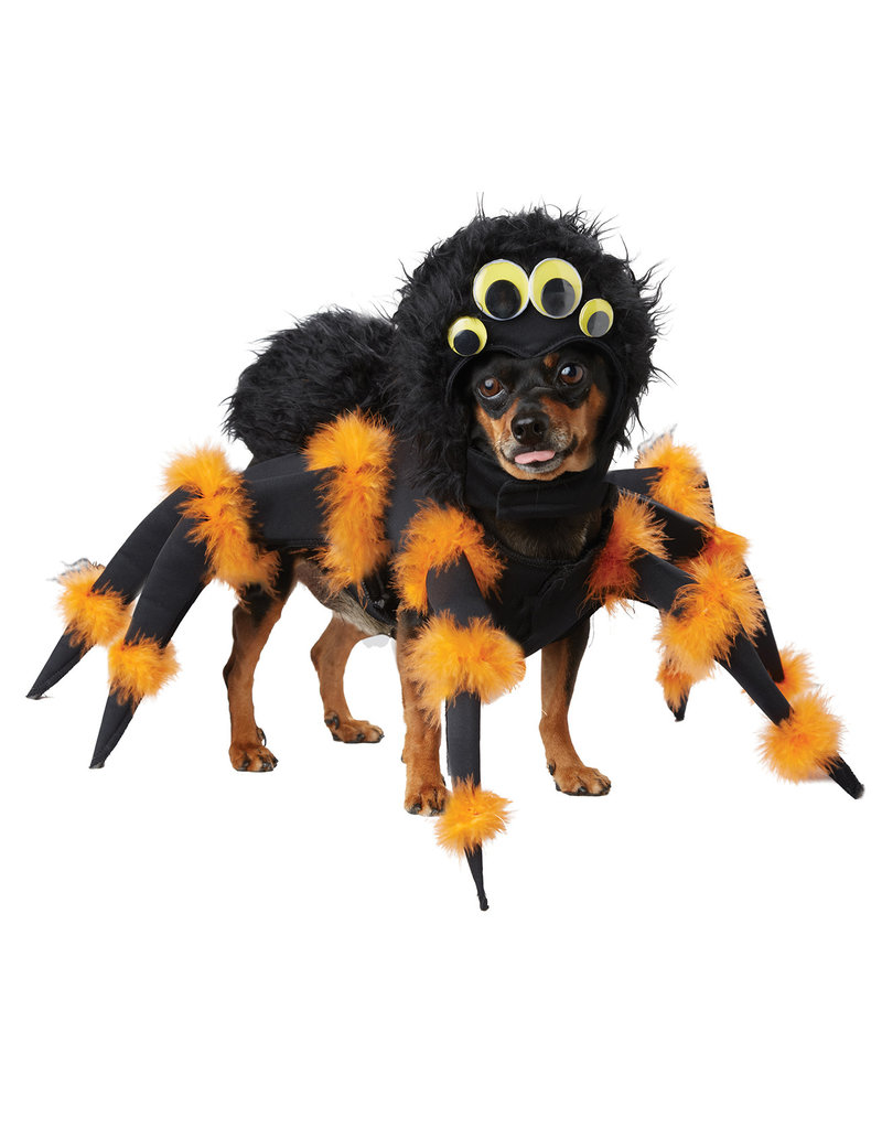 California Costumes Spider Pup: Pet Costume