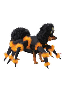 California Costumes Spider Pup: Pet Costume