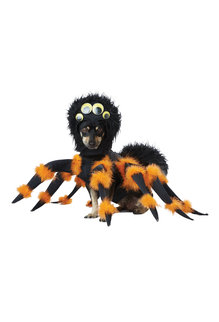 California Costumes Spider Pup: Pet Costume