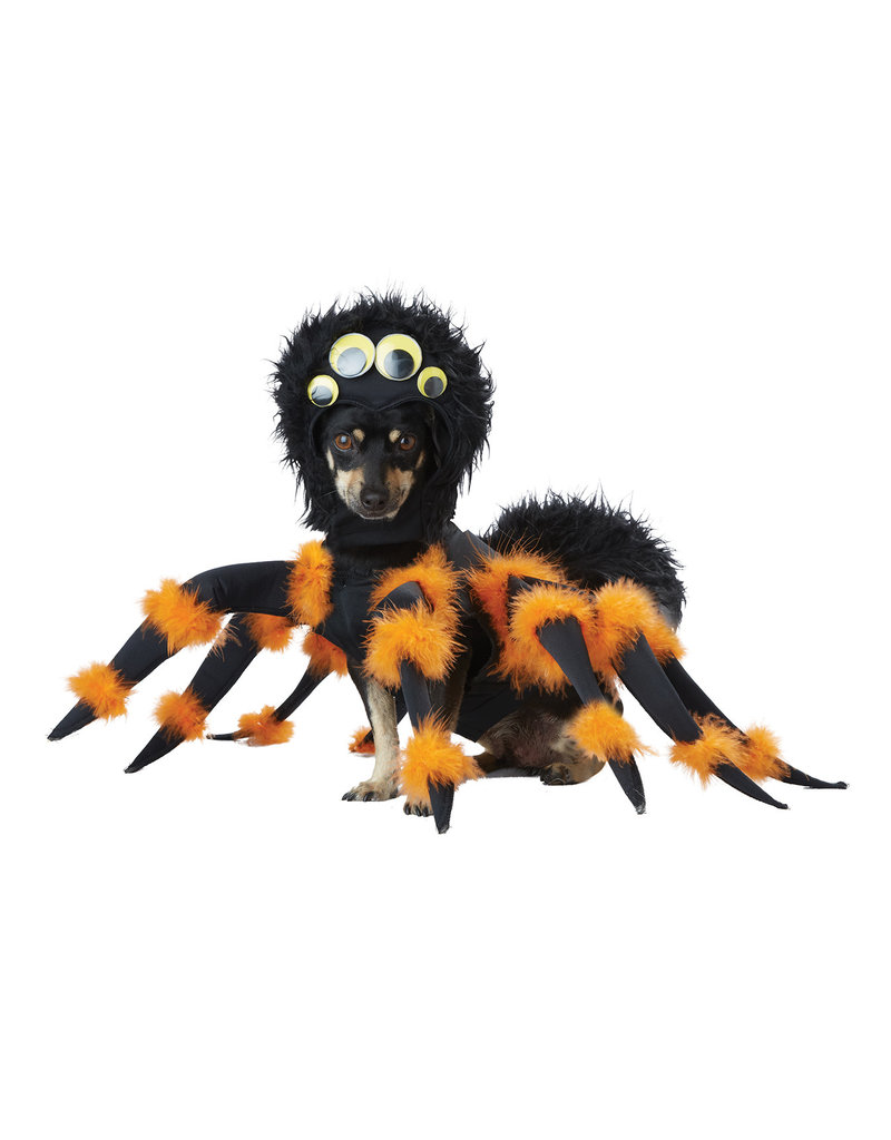 California Costumes Spider Pup: Pet Costume