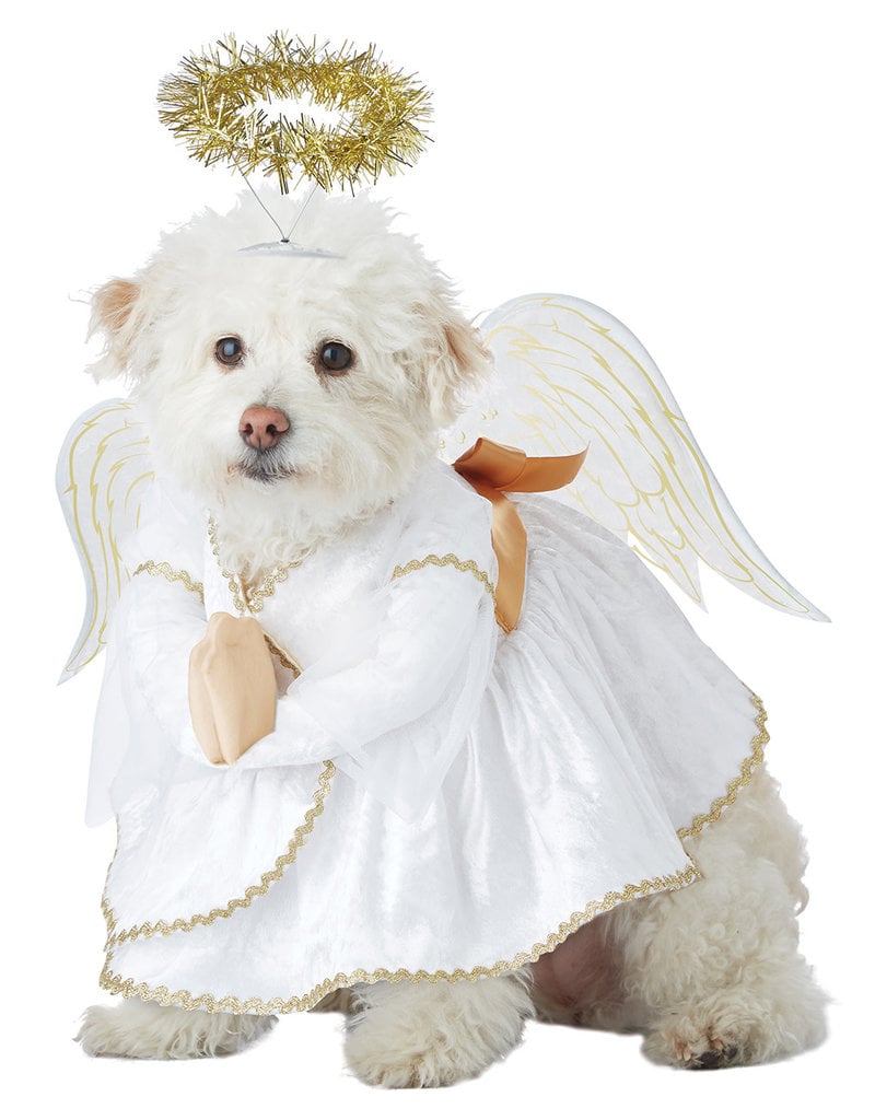 California Costumes Heavenly Hound Dog: Pet Costume