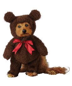 California Costumes Teddy Bear: Pet Costume