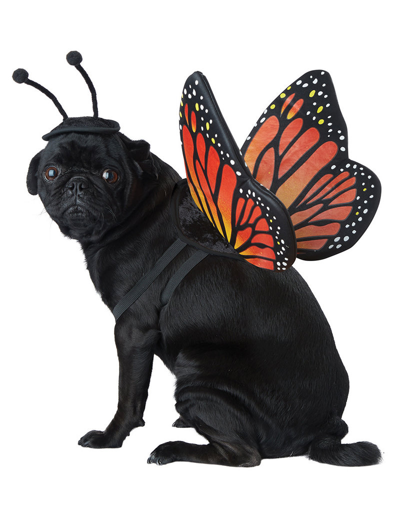 California Costumes Monarch Butterfly: Pet Costume