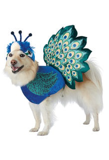 California Costumes Pretty As A Peacock: Pet Costume