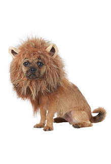 California Costumes King Of The Jungle: Pet Costume