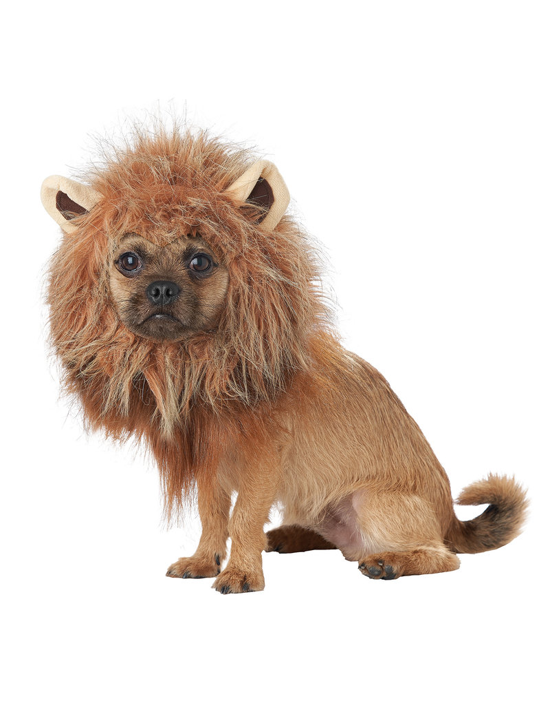 California Costumes King Of The Jungle: Pet Costume