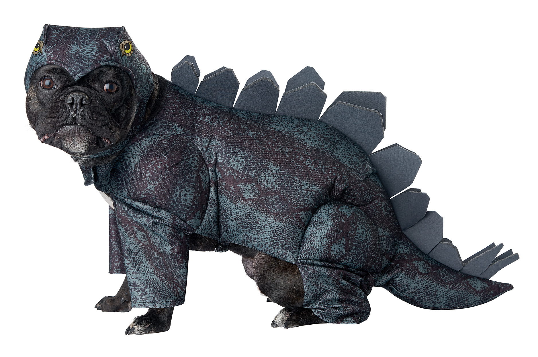  Stegosaurus  Dog Johnnie Brocks Dungeon