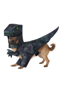California Costumes Pupasaurus Rex: Pet Costume