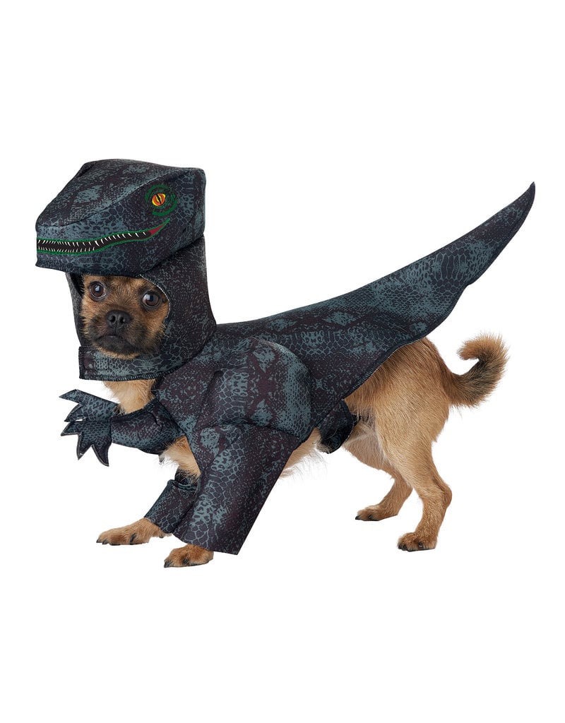 California Costumes Pupasaurus Rex: Pet Costume