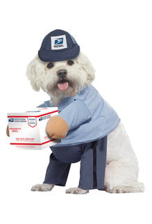 California Costumes U.S. Mail Carrier Pup: Pet Costume