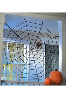 Fun World Costumes 5' Black Widow Rope Spider Web
