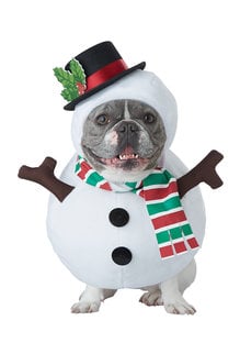 California Costumes Snowman Dog: Pet Costume