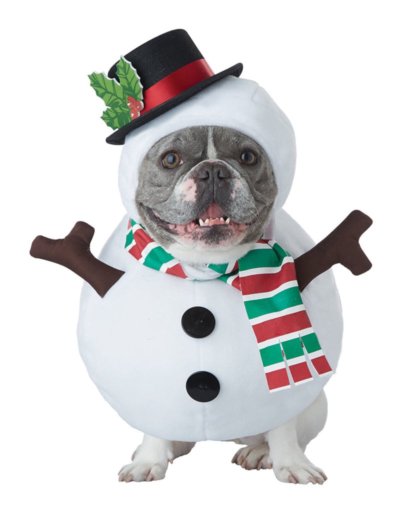 California Costumes Snowman Dog: Pet Costume