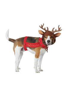 California Costumes Reindeer Dog: Pet Costume