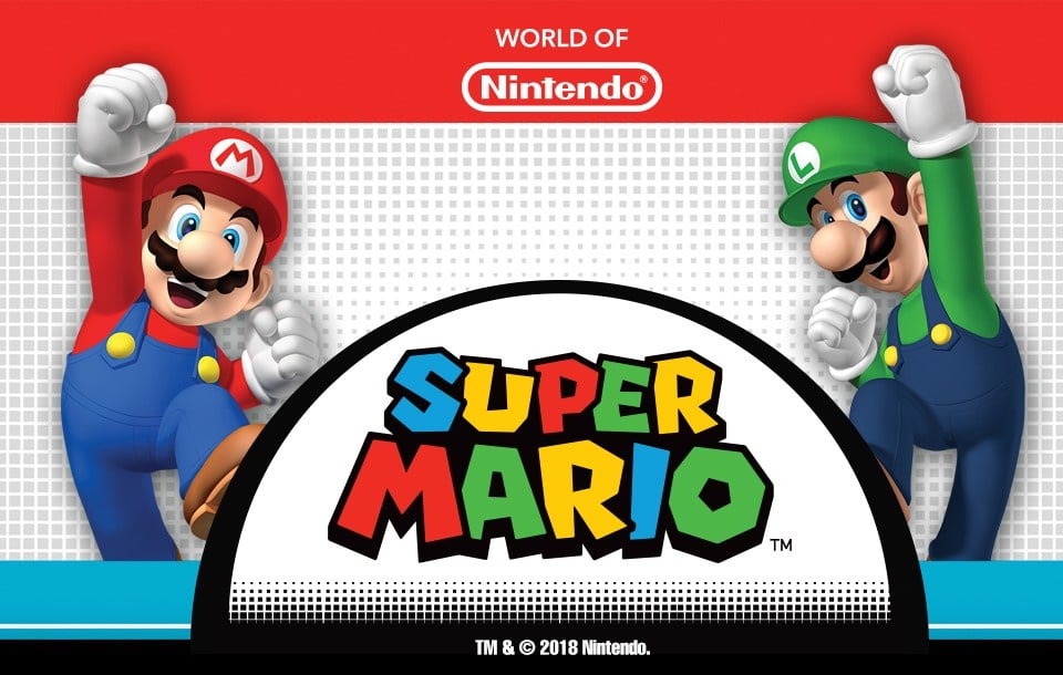 Super Mario Brothers Costumes & Accessories