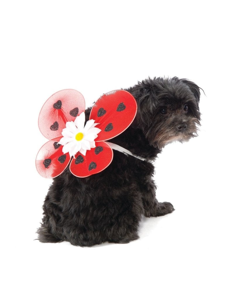 Rubies Costumes Ladybug Wings: Pet Costumes